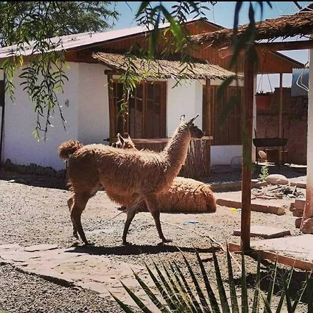 Cabanas Voyage Atacama San Pedro de Atacama Exterior photo