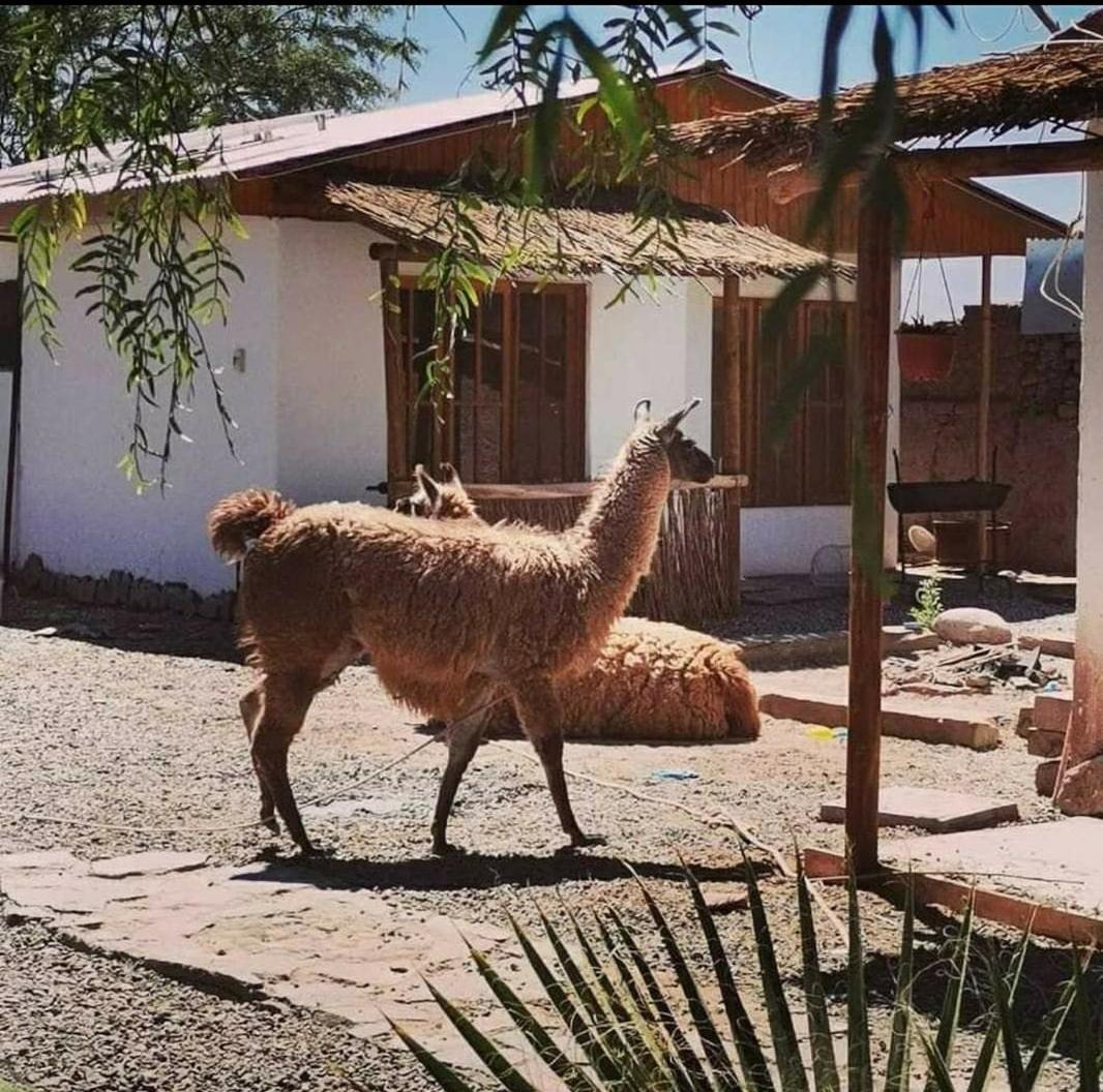 Cabanas Voyage Atacama San Pedro de Atacama Exterior photo