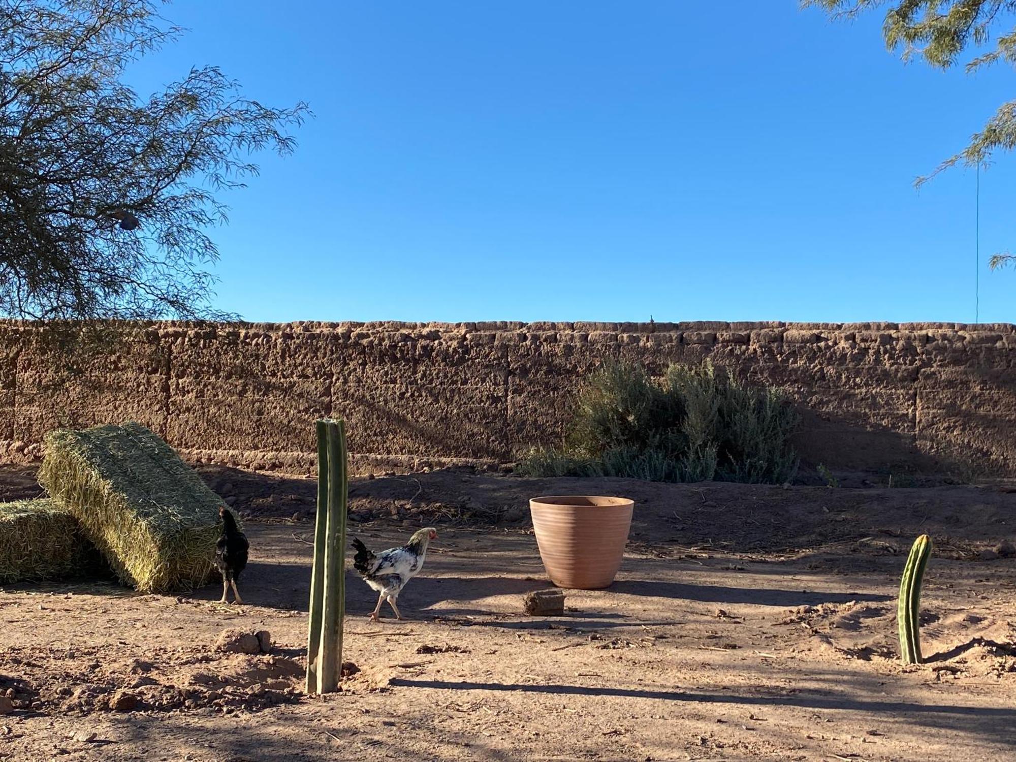 Cabanas Voyage Atacama San Pedro de Atacama Exterior photo